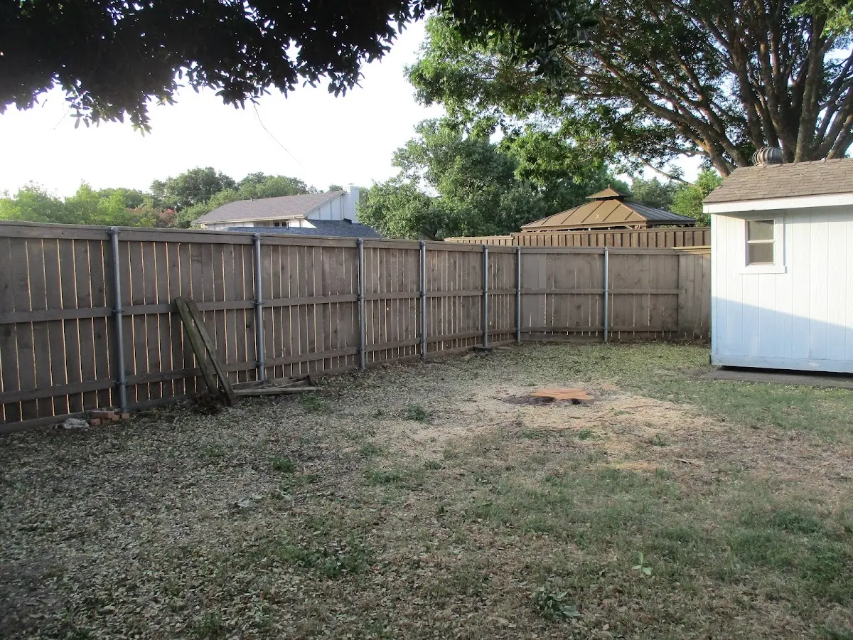 Cleared yard after professional tree removal in West Milford