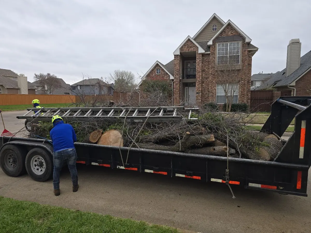 Expert Tree Pest Control with proper safety equipment in West Milford